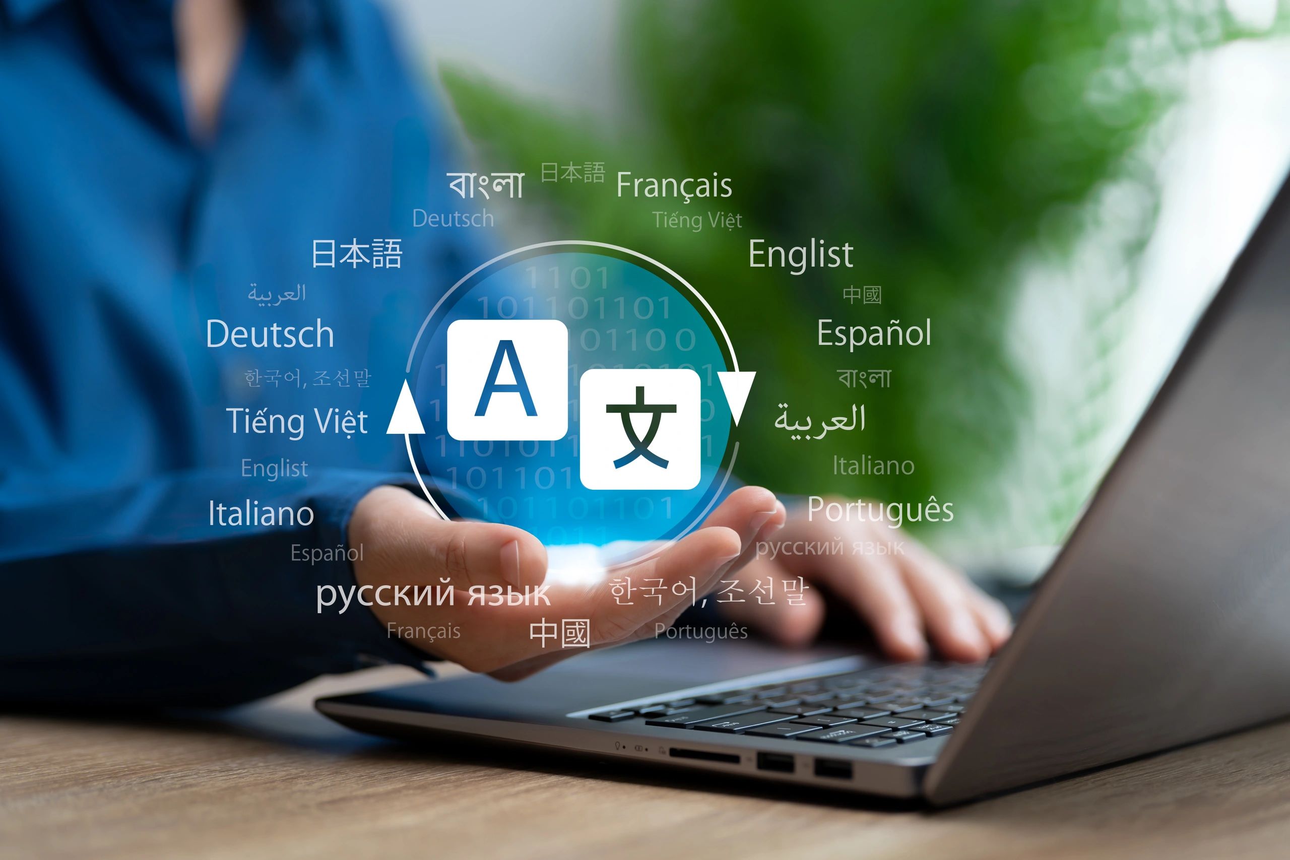 translation services